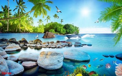 File PSD File thuận buồm xuôi gió TB194 (bản gốc) đã tách nền