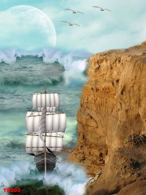 Chi tiết file gốc File thuận buồm xuôi gió TB202 (cho in tráng gương)