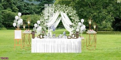 Tải file File banner phông tiệc đám cưới TDC81 (gốc) làm file quảng cáo