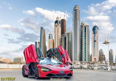 File tranh in tráng gương File tranh trẻ em TE637 (siêu nét)