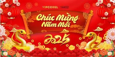 File tranh in trần 3D Background phông nền banner chúc mừng năm mới , tất niên tết 2025 TET1382 (ảnh gốc)
