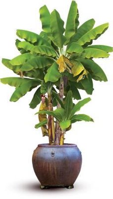 File in ấn chuyên nghiệp Background phông nền banner chúc mừng năm mới , tất niên tết 2025 TET1387 (file gốc)