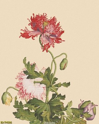 File gốc File tranh thủy mặc TM386 (cho in ấn) độc quyền