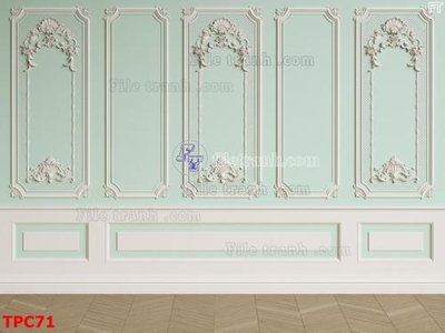 File tranh Tranh phào chỉ TPC71 (ảnh gốc) độc quyền