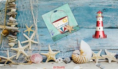 File in trần File hoa trang sức TS1070 (bản gốc) 5D