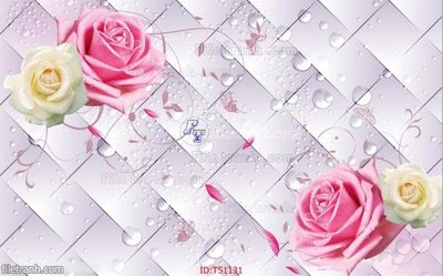 File tranh File hoa trang sức TS1131 (ảnh gốc) không bị mờ