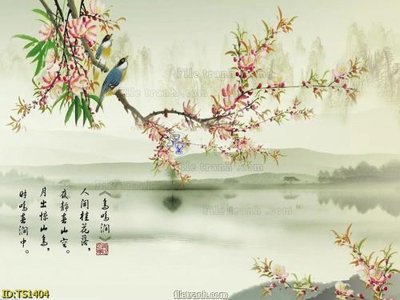 File tranh File hoa trang sức TS1404 (bản gốc) treo tường