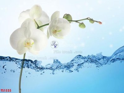 Tải file File hoa trang sức TS1535 (gốc) làm tranh trang trí