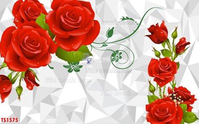 File in trần File hoa trang sức TS1575 (file gốc) chủ đề vũ trụ