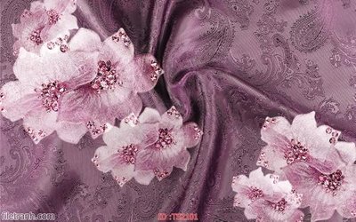 Tải file File hoa trang sức 3d TS2101 (ảnh gốc) file AI/EPS