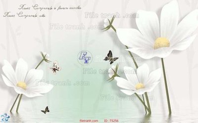 File in trần File hoa trang sức TS256 (bản gốc) mây trời