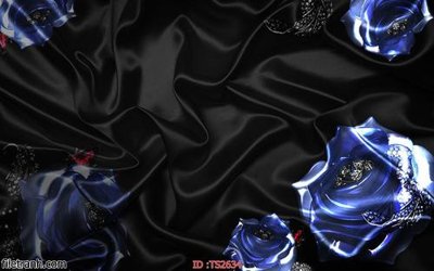 File tranh File hoa trang sức 3d TS2634 (gốc) in vải canvas