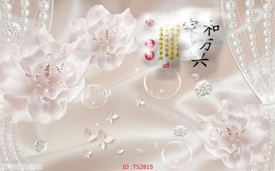 Chi tiết file gốc File hoa trang sức 3d TS2815 (cho in tráng gương)