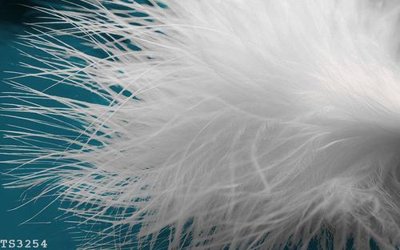 Tải xuống file tranh gốc File hoa trang sức 3d TS3254 (PSD/TIFF)