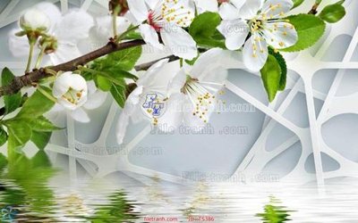 File in mica File hoa trang sức TS386 (bản gốc) sắc sảo