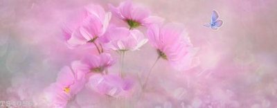 File gốc File hoa trang sức 3d TS4056 (thiết kế) độc quyền