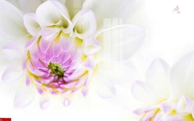 Tải file File tranh hoa trang sức in tường 3d TS5308 (ảnh gốc) file TIFF