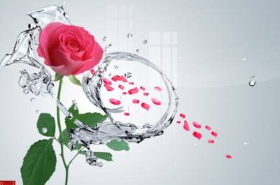 File gốc in ấn File tranh hoa trang sức in tường 3d TS5531 chuẩn màu CMYK