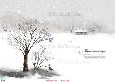 File tranh in mica File hoa trang sức TS558 (độ phân giải cao)