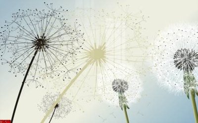 File in mica File tranh hoa trang sức in tường 3d TS5795 (bản gốc) sắc sảo