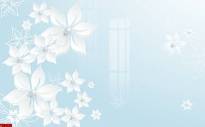 Download file File tranh hoa trang sức in tường 3d TS5808 (gốc) in mica ốp bếp