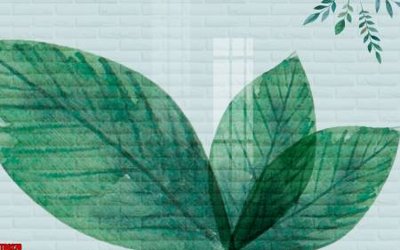 File ảnh File tranh hoa trang sức in tường 3d TS6278 (gốc) trang trí khách sạn