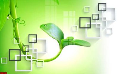 Chi tiết file ảnh File tranh hoa trang sức in tường 3d TS6326 sắc nét