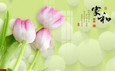 File PSD File tranh hoa trang sức in tường 3d TS6509 (chất lượng in ấn)