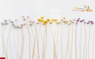 File gốc File tranh hoa trang sức in tường 3d TS6607 (PNG) chất lượng cao