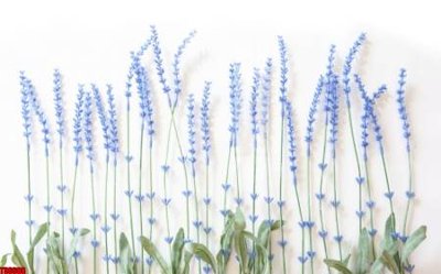 Tải file tranh File tranh hoa trang sức in tường 3d TS6608 (ảnh gốc) ngay