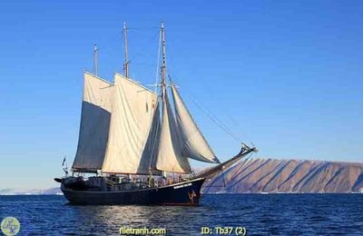 File in trần File thuận buồm xuôi gió TB37 (bản gốc 3D) sống động