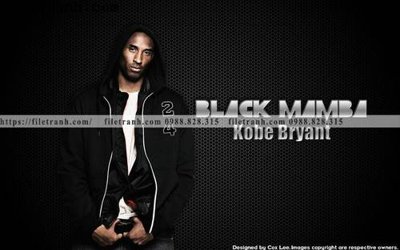 File in lụa The thao bong ro 105 (chất lượng cao) The thao bong ro 105