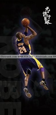 File in lụa The thao bong ro 148 (chất lượng cao) The thao bong ro 148