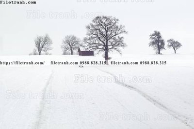 Tải file Toi gian den trang 101 (gốc) làm tranh trang trí