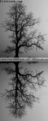 File gốc Toi gian den trang 116 (cho in ấn) từ Filetranh.com