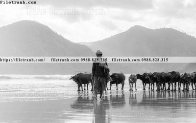 Mua file gốc Toi gian den trang 150 (PSD) tại Filetranh.com