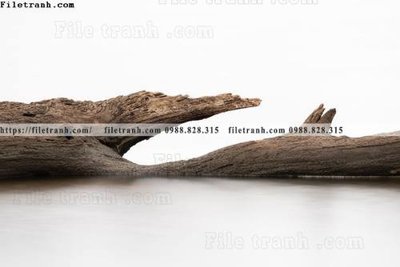 File in trần Toi gian den trang 161 (bản gốc) mây trời