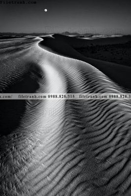 File in lụa Toi gian den trang 182 (chất lượng cao) Toi gian den trang 182