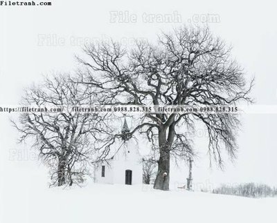 File ảnh Toi gian den trang 183 (gốc) cho trang trí nhà hàng