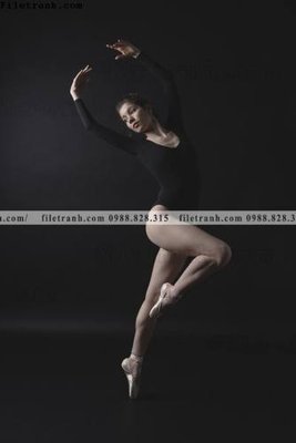 File gốc Tranh chan dung chup anh nguoi 231 (in 3D) nghệ thuật