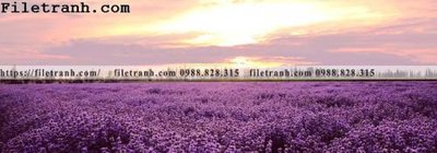 Tải file gốc Tranh trang tri banner dau giuong hien dai 243 (in tráng gương) cao cấpFile gốc Tranh trang tri banner dau giuong hien dai 243 (in ấn) phiên bản độc quyền