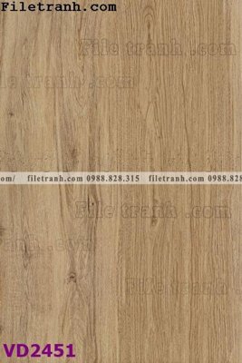 File gốc File in vân đá cẩm thạch VD2451 (ảnh chi tiết) để in trần