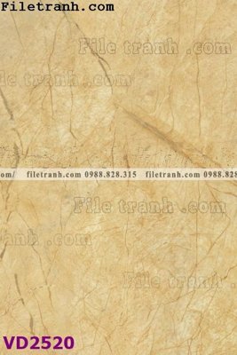 File gốc File in vân đá cẩm thạch VD2520 (dành cho quảng cáo)