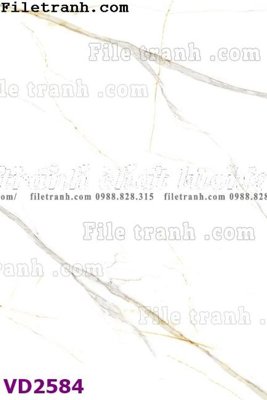 File tranh File in vân đá cẩm thạch VD2584 (ảnh gốc) độ nét vượt trội