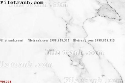 File ảnh File vân đá đá cẩm thạch VD5204 (gốc) in standee