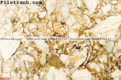 File gốc File vân đá đá cẩm thạch VD5221 (cho in ấn) từ Filetranh.com