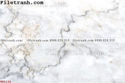 Download file File vân đá đá cẩm thạch VD5231 (gốc) in mica cao cấp