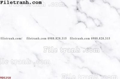 File in lụa File vân đá đá cẩm thạch VD5258 (chất lượng cao) File vân đá đá cẩm thạch VD5258
