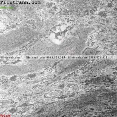 Ảnh gốc file in lụa File vân đá đá cẩm thạch VD5328 chi tiết