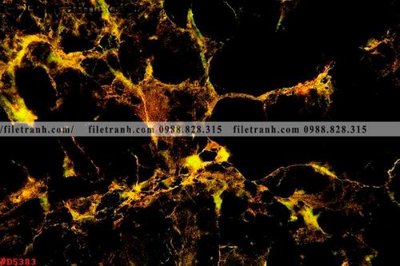 File tranh gốc File vân đá đá cẩm thạch VD5383 (bản quyền) Filetranh.com